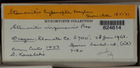 Image Associated With the Occurence